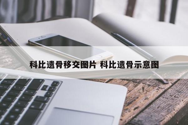 科比遗骨移交图片 科比遗骨示意图