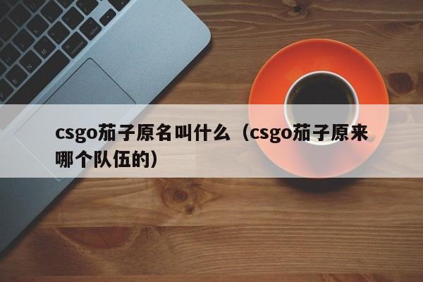 csgo茄子原名叫什么（csgo茄子原来哪个队伍的）