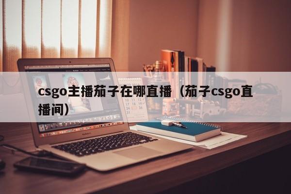 csgo主播茄子在哪直播（茄子csgo直播间）