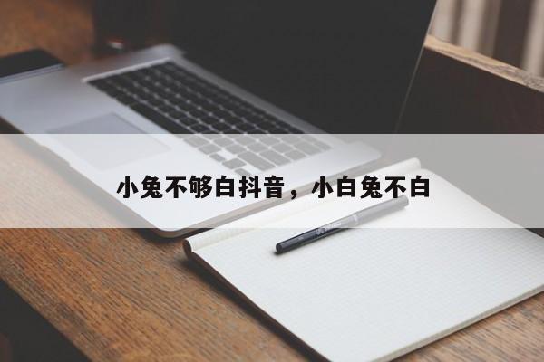 小兔不够白抖音，小白兔不白