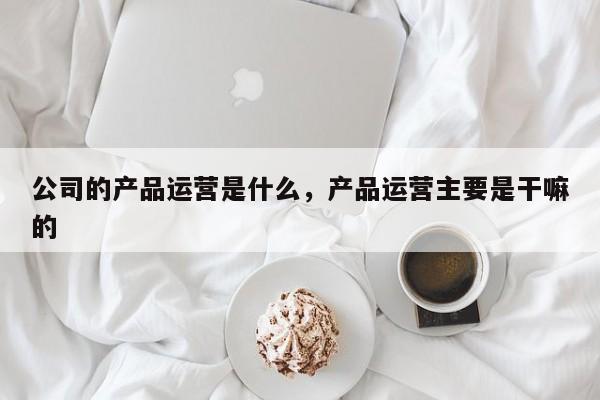 公司的产品运营是什么，产品运营主要是干嘛的