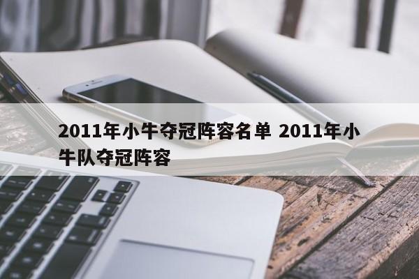 2011年小牛夺冠阵容名单 2011年小牛队夺冠阵容