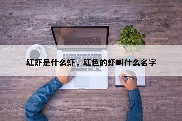 红虾是什么虾，红色的虾叫什么名字