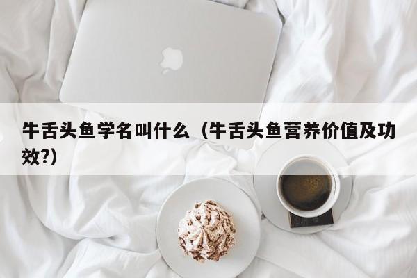 牛舌头鱼学名叫什么（牛舌头鱼营养价值及功效?）