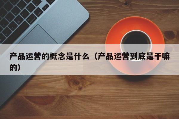 产品运营的概念是什么（产品运营到底是干嘛的）