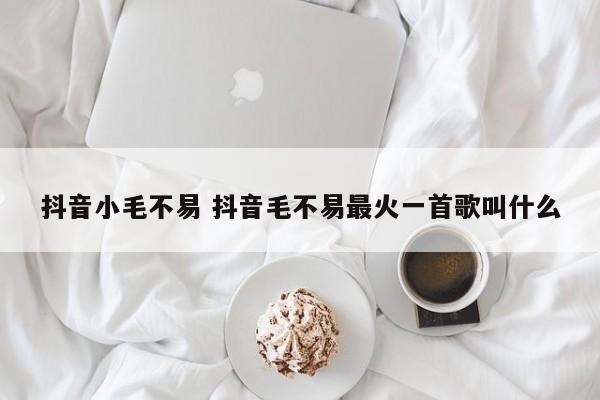 抖音小毛不易 抖音毛不易最火一首歌叫什么