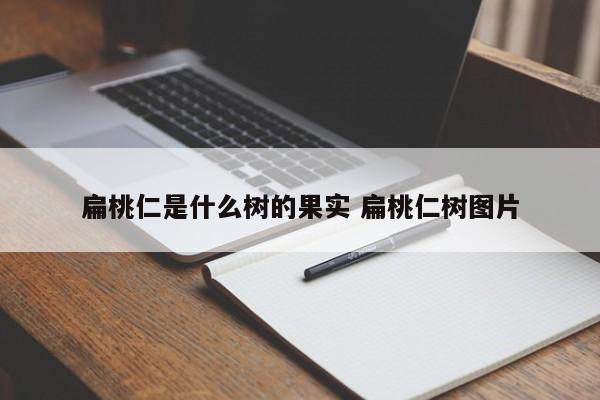 扁桃仁是什么树的果实 扁桃仁树图片