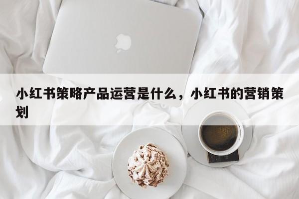 小红书策略产品运营是什么，小红书的营销策划