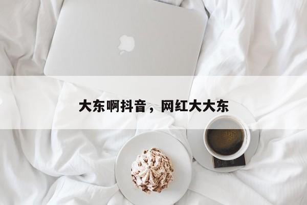 大东啊抖音，网红大大东