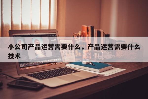 小公司产品运营需要什么，产品运营需要什么技术