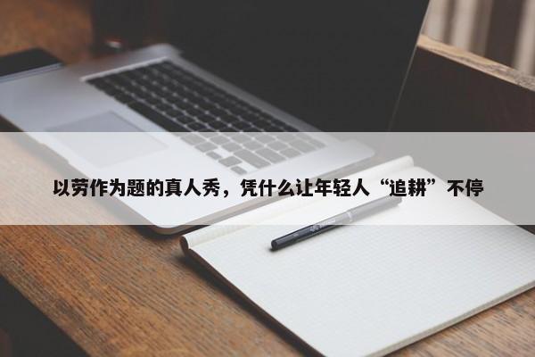 以劳作为题的真人秀，凭什么让年轻人“追耕”不停