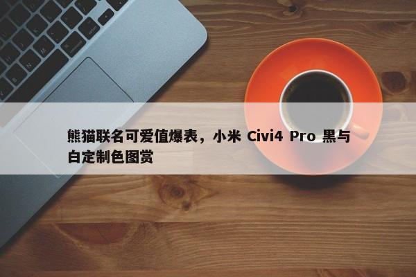 熊猫联名可爱值爆表，小米 Civi4 Pro 黑与白定制色图赏