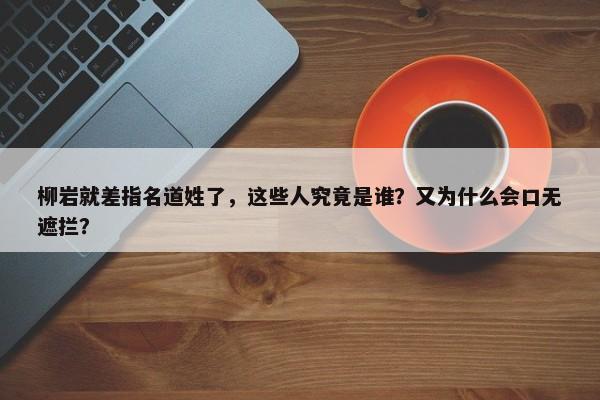 柳岩就差指名道姓了，这些人究竟是谁？又为什么会口无遮拦？