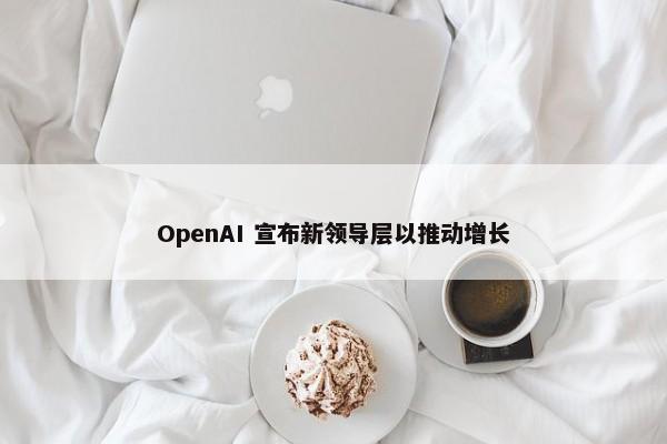 OpenAI 宣布新领导层以推动增长